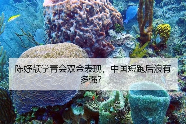 陈妤颉学青会双金表现，中国短跑后浪有多强？
